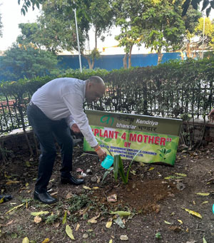 Saplings planted by Kendriya Bhandar at Head Office on 09th October 2024