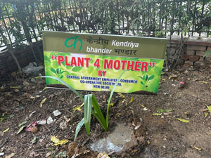 Saplings planted by Kendriya Bhandar at Head Office on 09th October 2024